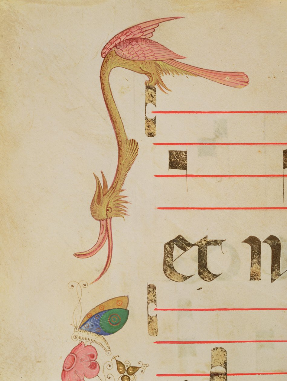 Fantastical Bird Hunting a Butterfly, (detail) by Filippo di Matteo Torelli