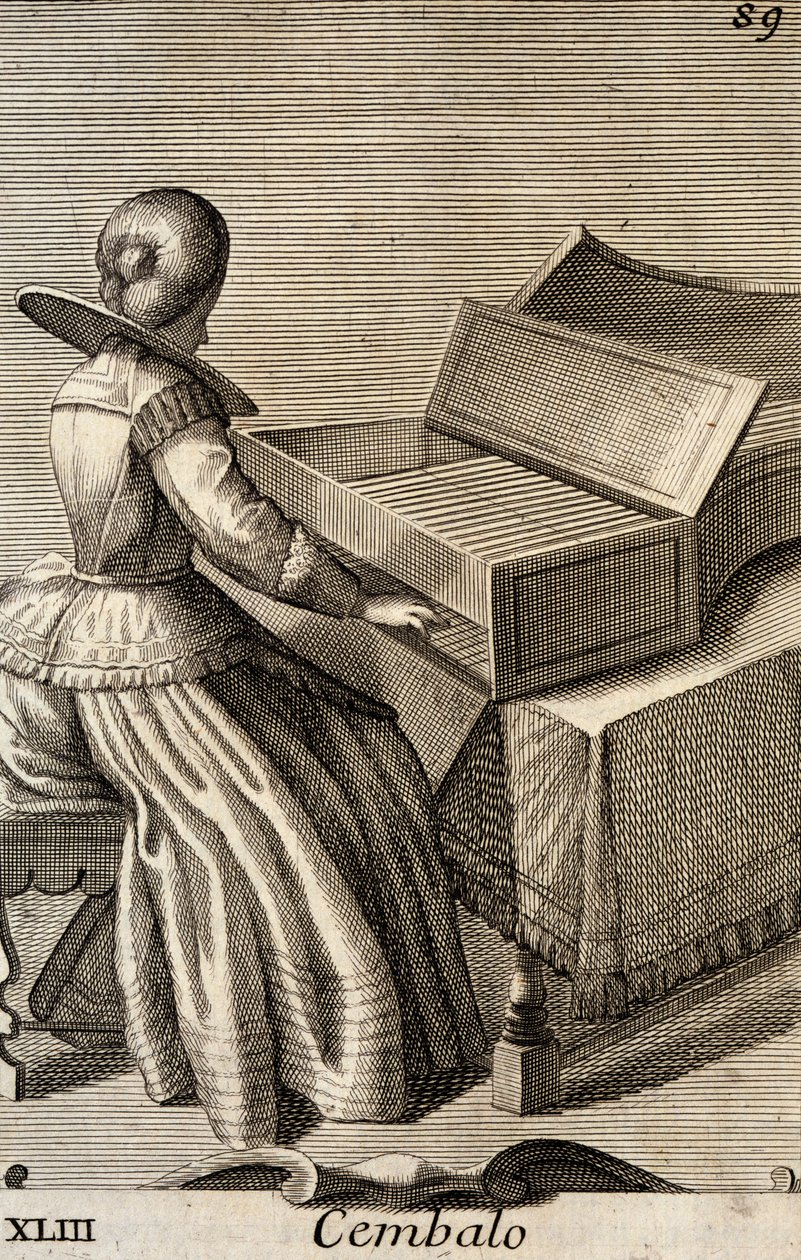 Woman Playing the Harpsichord by Filippo Bonanni