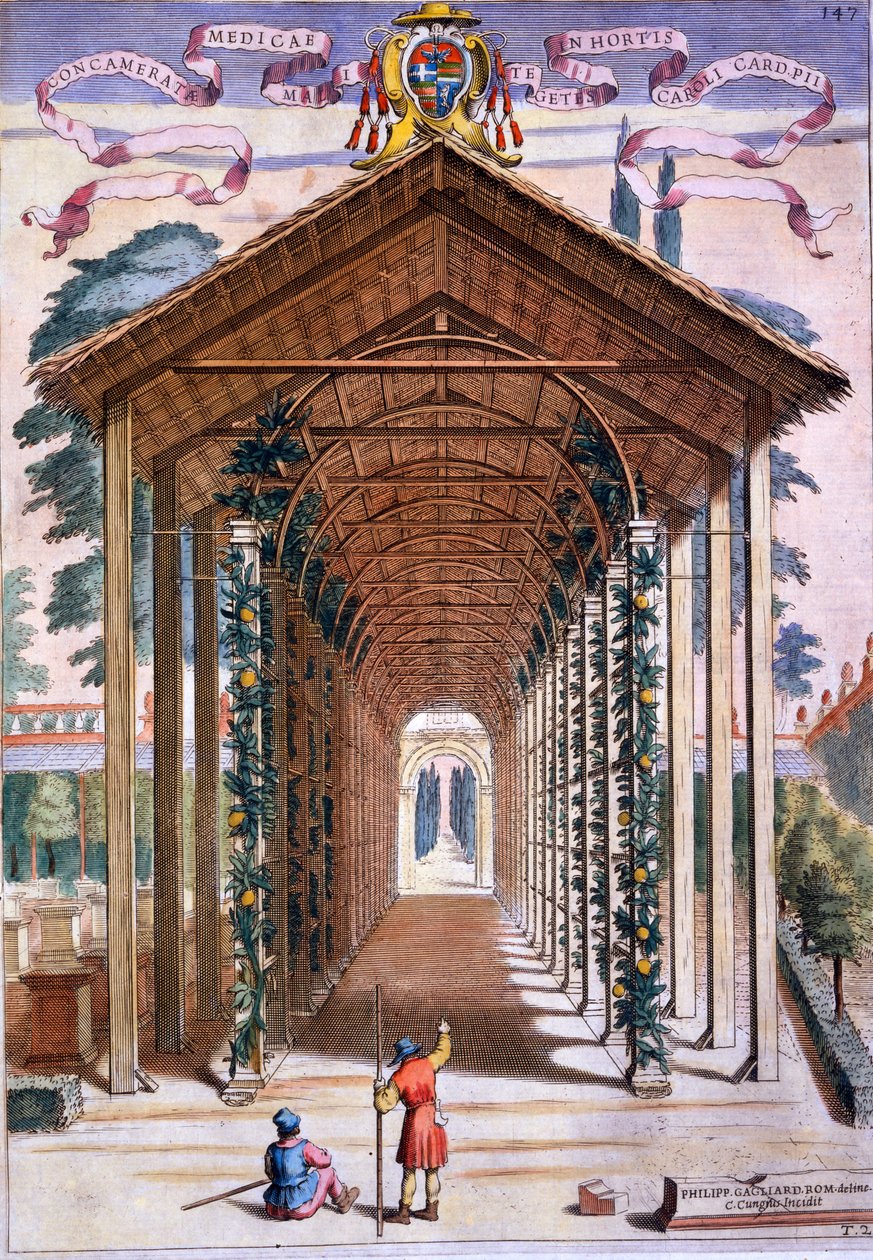 A Trellised Covered Walkway, from 'Hesperides' by Giovanni Battista ...