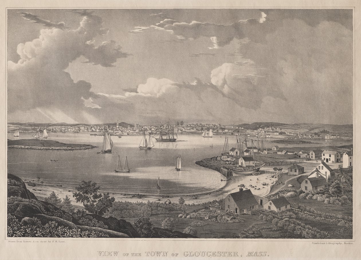 View of the Town of Gloucester, Mass. by Fitz Henry Lane