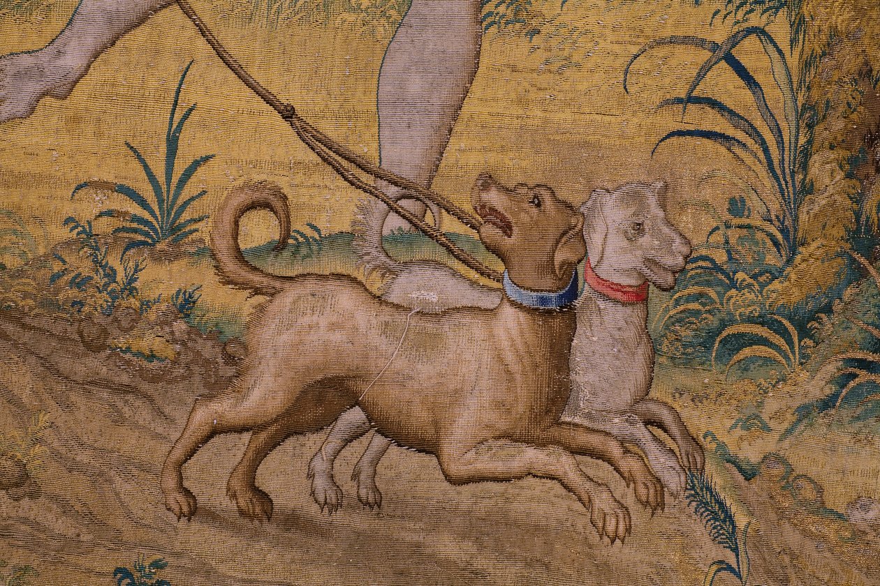 The rob of Ganymedes (detail) by Flemish School