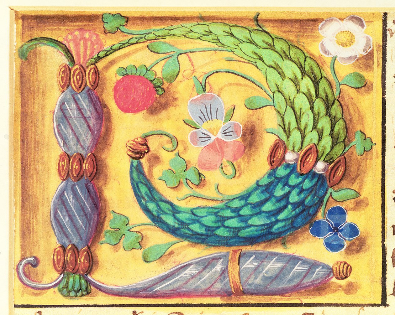 Illuminated letter `P decorated with flowers, from a Book of Hours by Flemish School