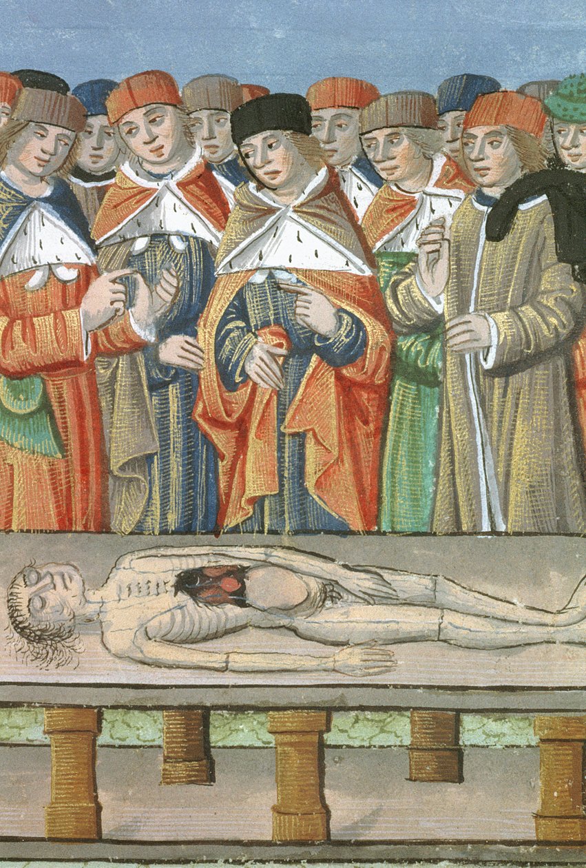 Dissection, from De Medina Fen I. II, by Avicenna (980-1037) by Flemish School