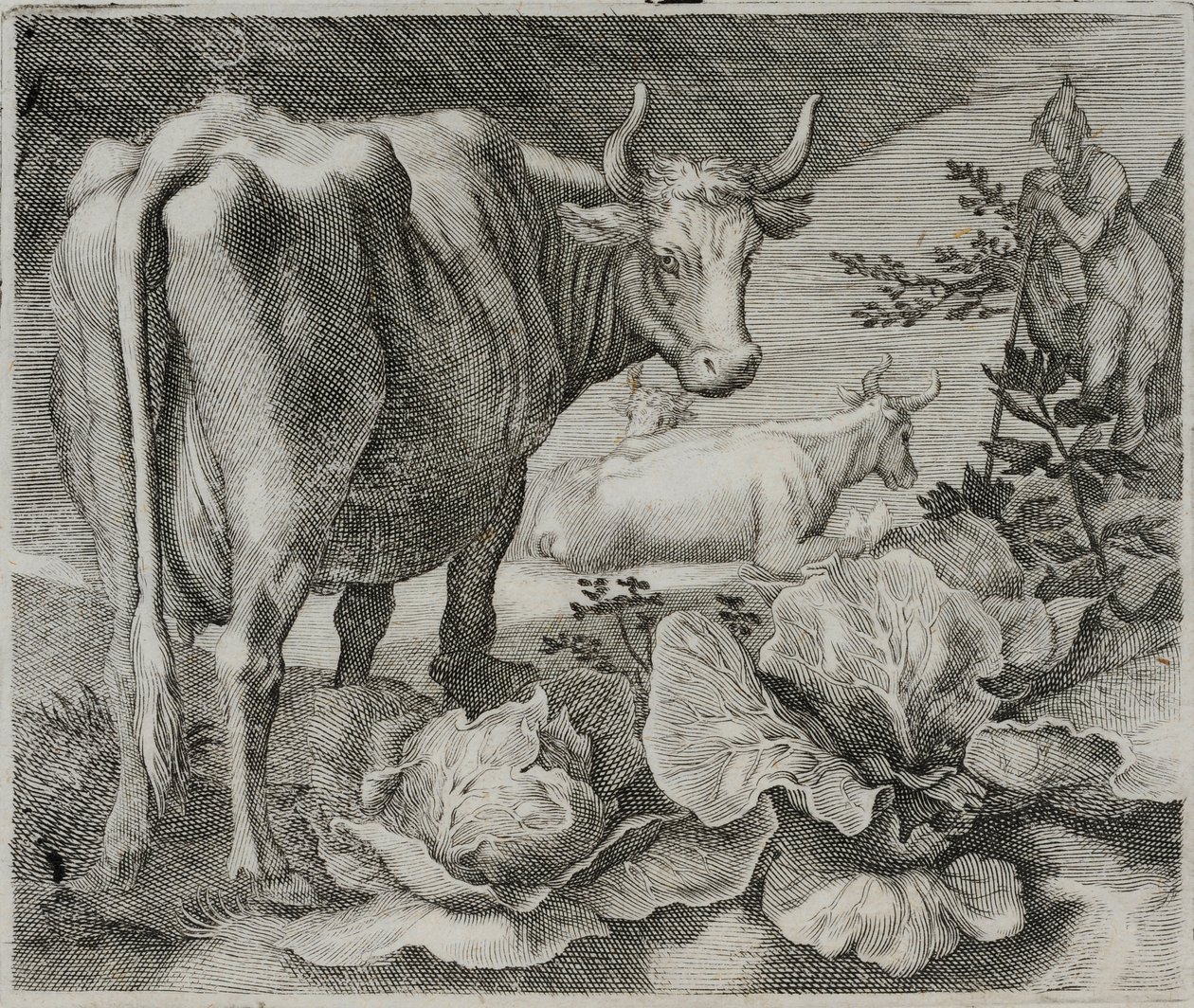 Old Master Engraving by Flemish School