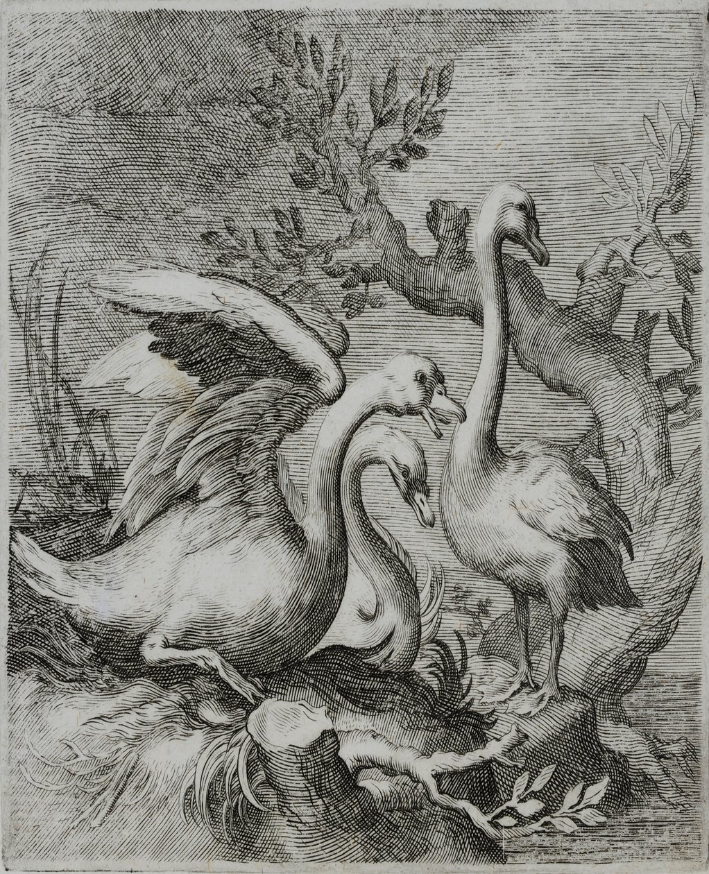 Old Master Engraving by Flemish School