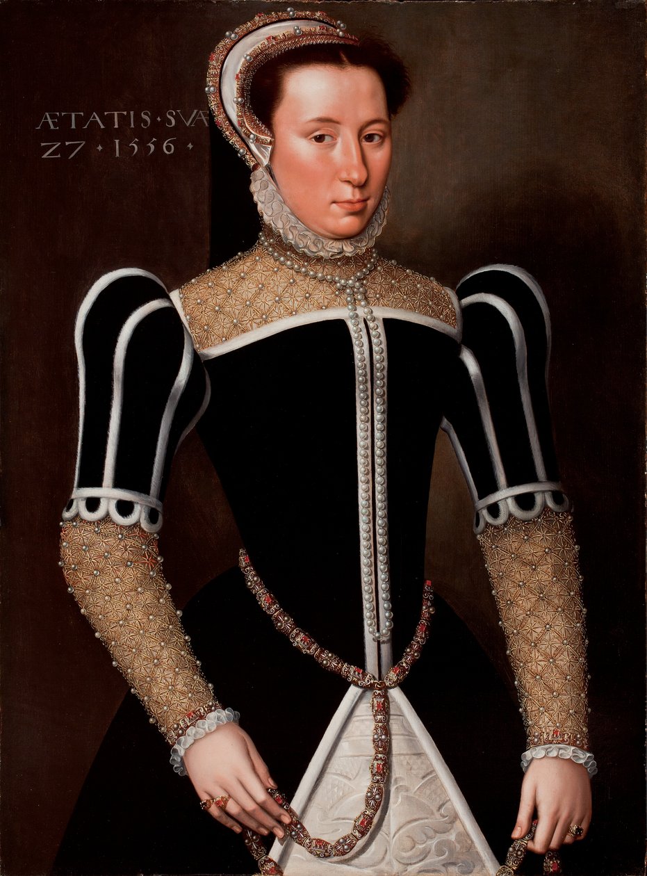 Portrait of a Woman, 1556 by Flemish School