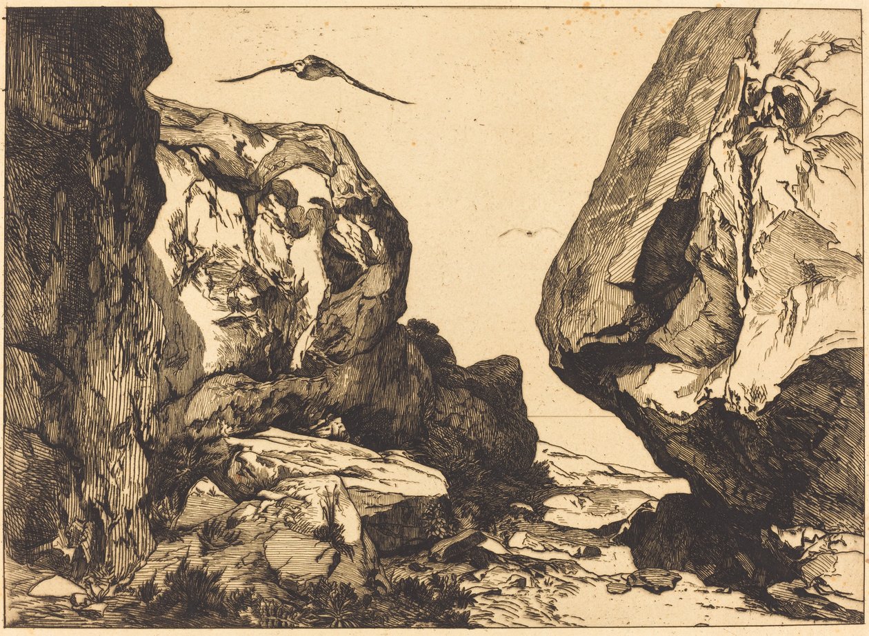 Gorge in the Rocks by Félix Bracquemond after Jules Laurens