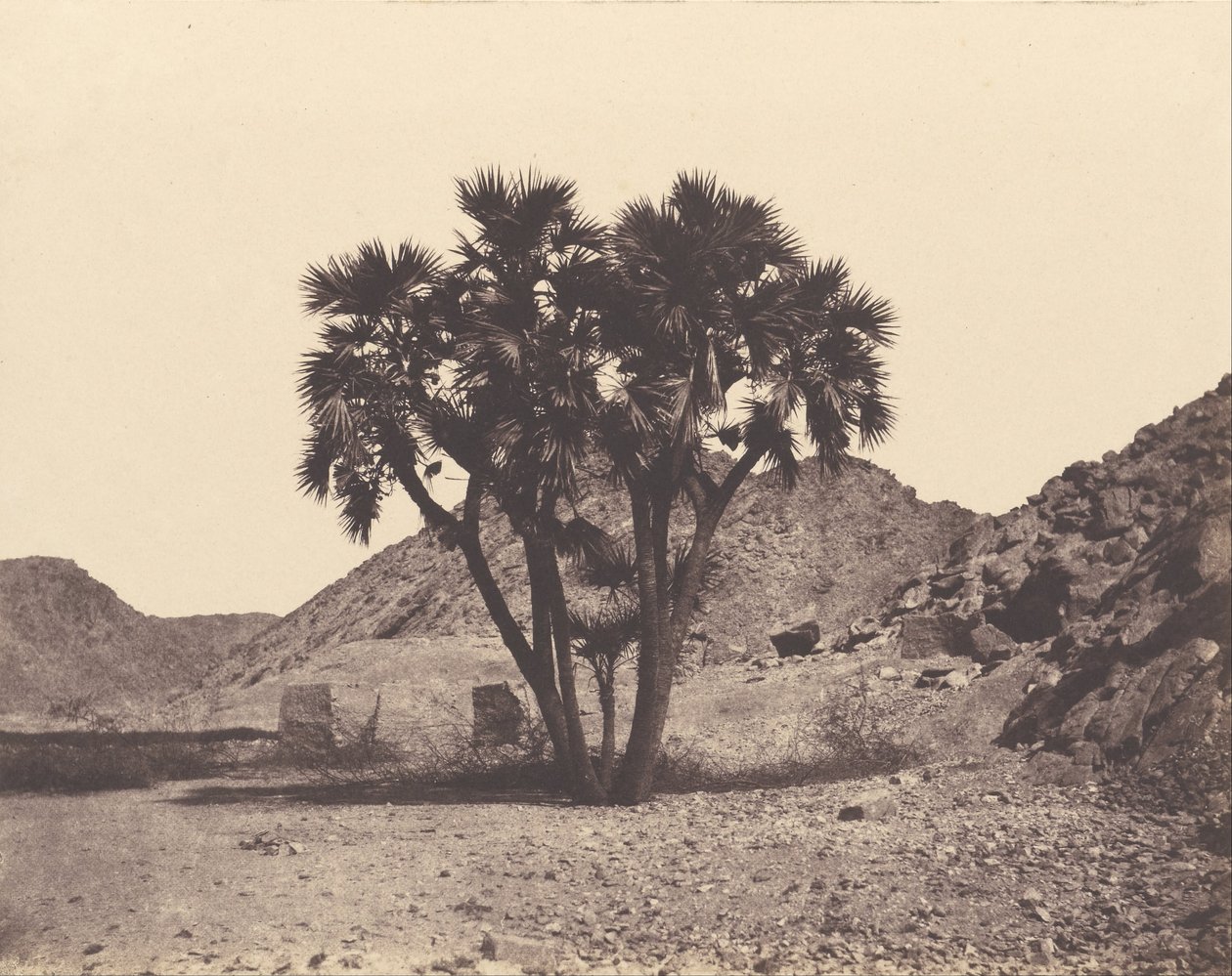 Egypt and Nubia. Sites and Monuments...Atlas Photographer...Second Part. Nubia by Félix Teynard