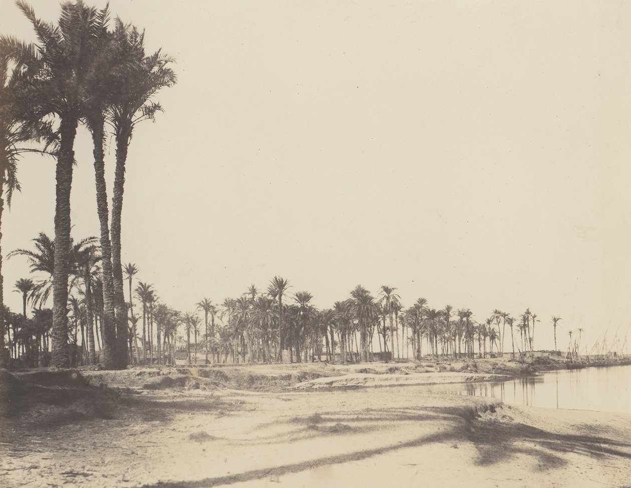 El-Nâcerah, Dattiers, Banks of the Nile and Boats, 1851-52, printed 1853-54 by Félix Teynard