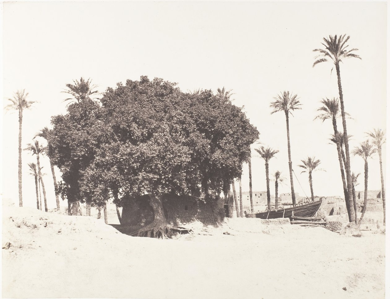 Esneh, Dattiers, Sycomore et Café Sur le Bord du Nil, 1851-52, printed 1853-54 by Félix Teynard