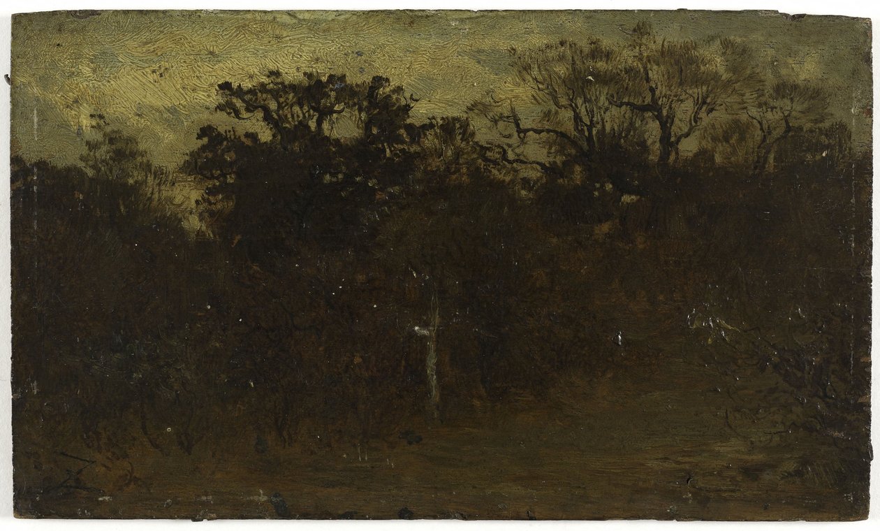 Forest Corner, between 1850 and 1860 by Félix Ziem