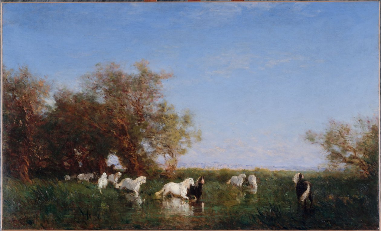 Wild Horses in the Camargue, between 1890 and 1895 by Félix Ziem