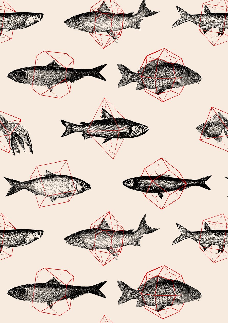 Fishes in Geometrics by Florent Bodart