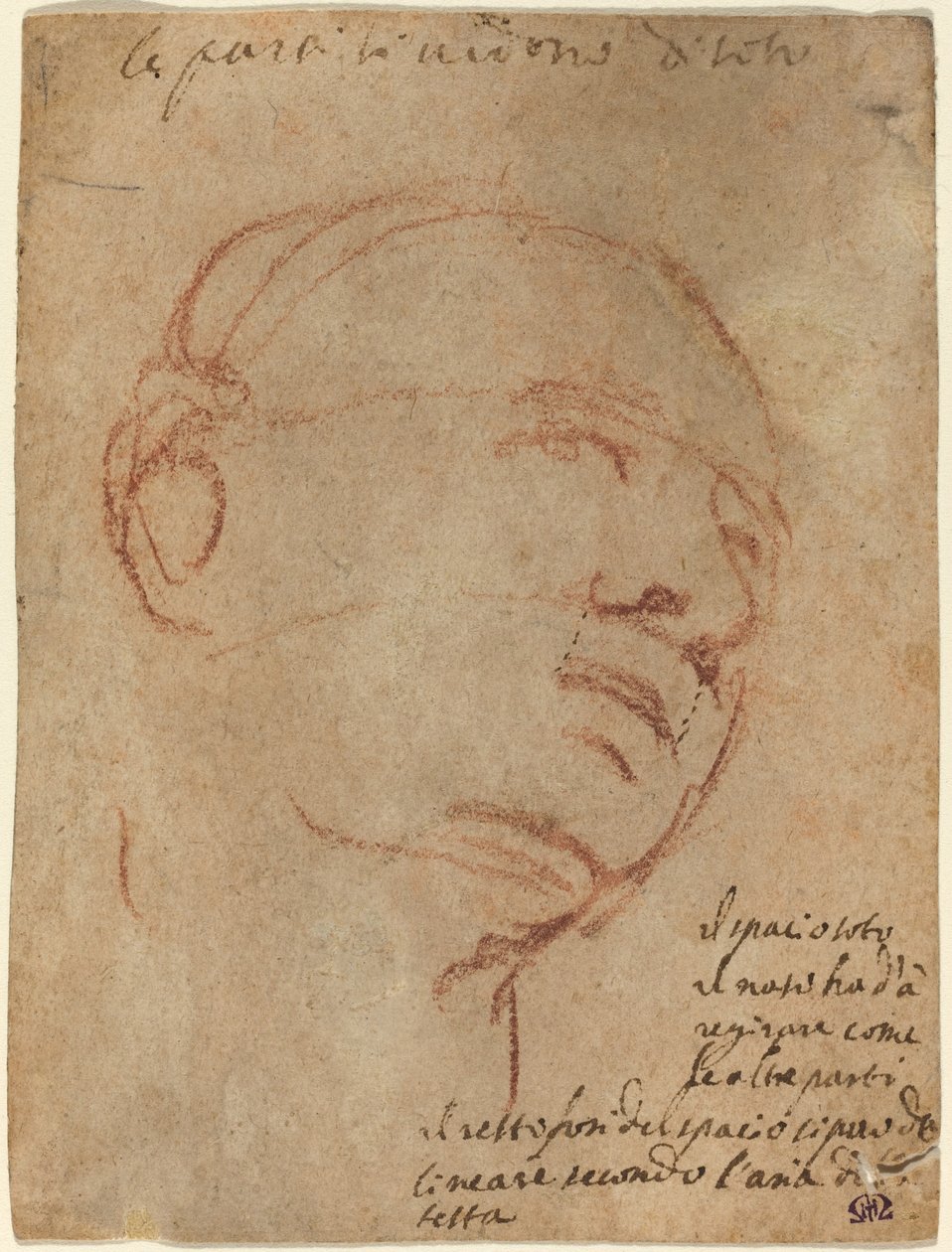 Head of a Man by Follower of Michelangelo