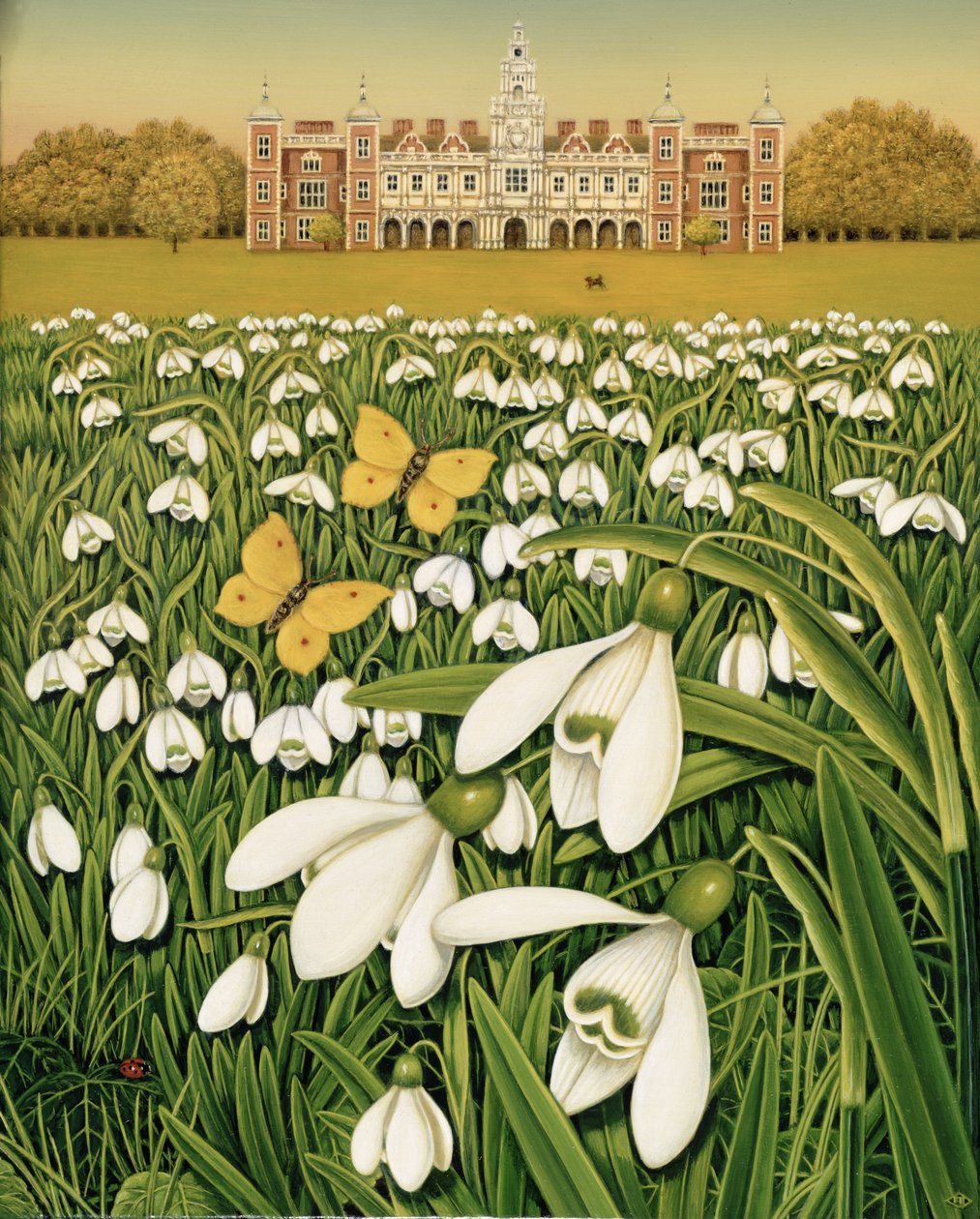 Snowdrop Day, Hatfield House by Frances Broomfield