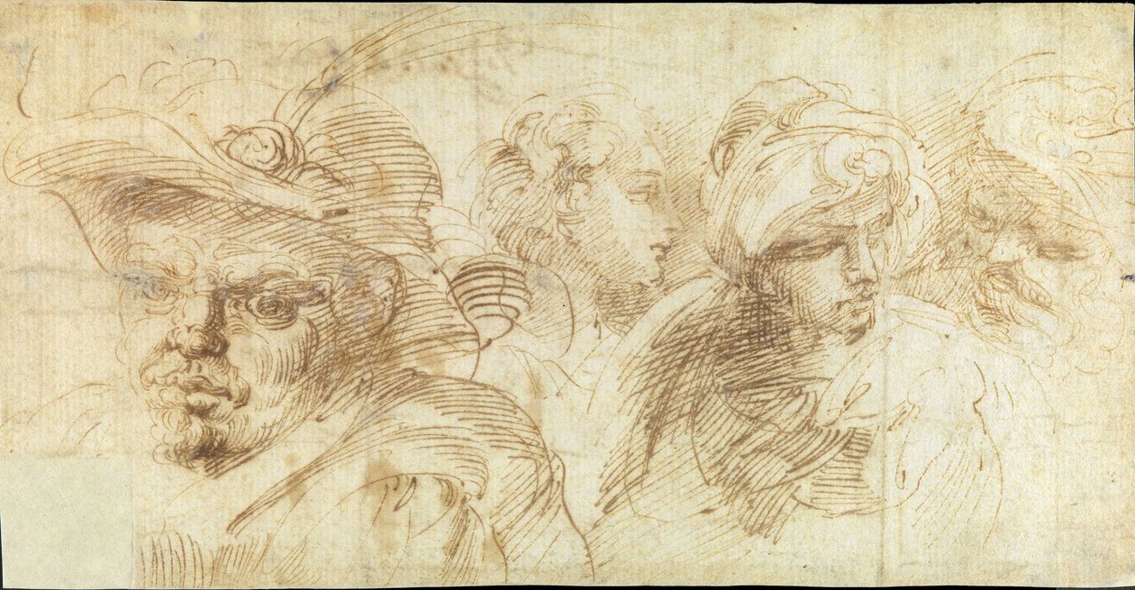 Studies of Heads by Francesco Brizio