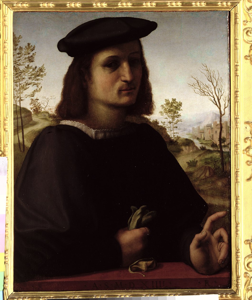 Portrait of a Youth with Gloves by Francesco di Cristofano Franciabigio
