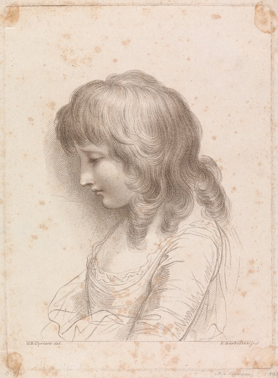 Cipriani