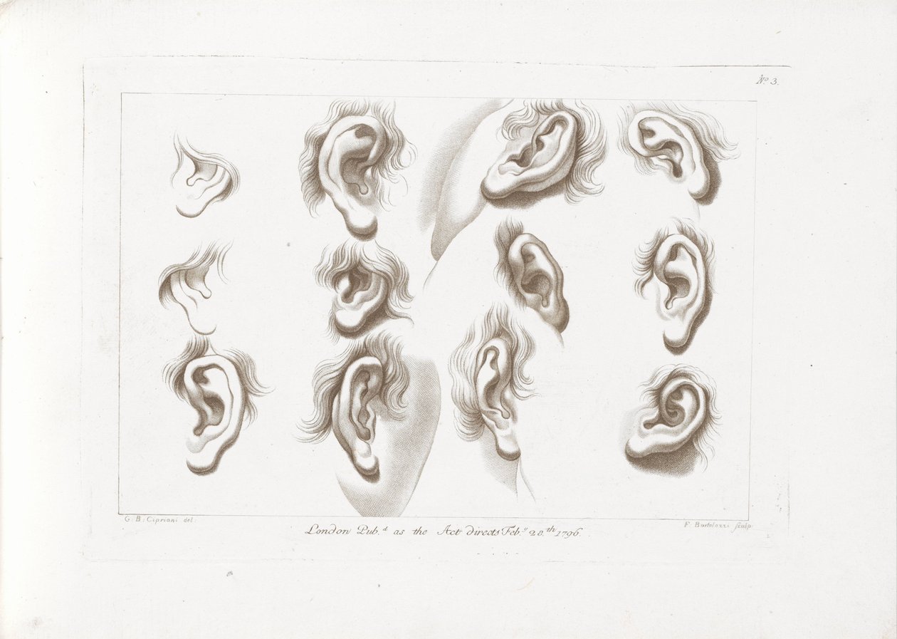 Twelve Ears (Cipriani