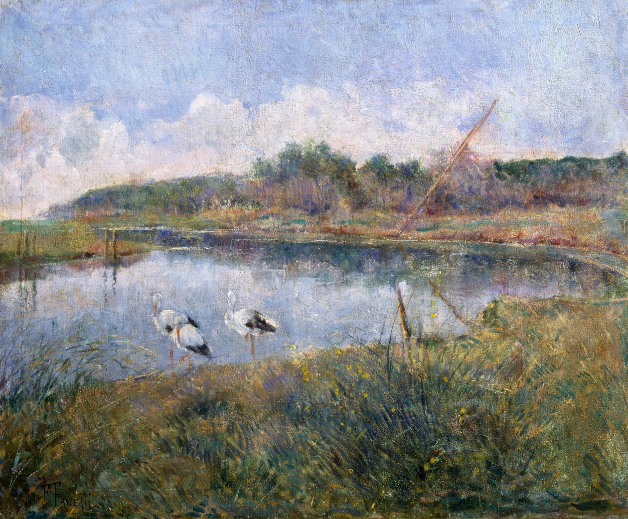 Massaciuccoli by Francesco Fanelli
