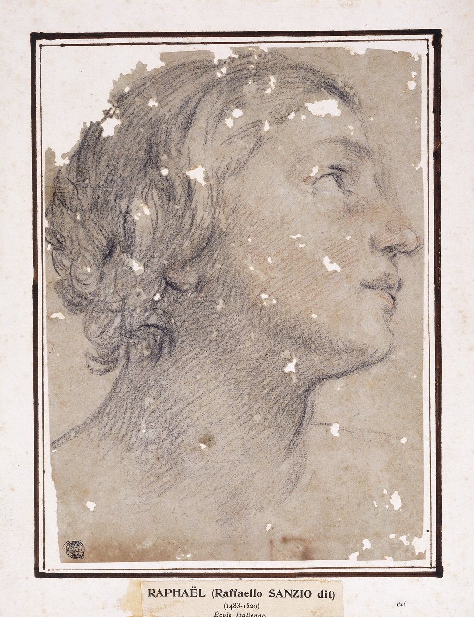 The Head of a Woman, in Profile to the Right by Francesco Giovanni Gessi