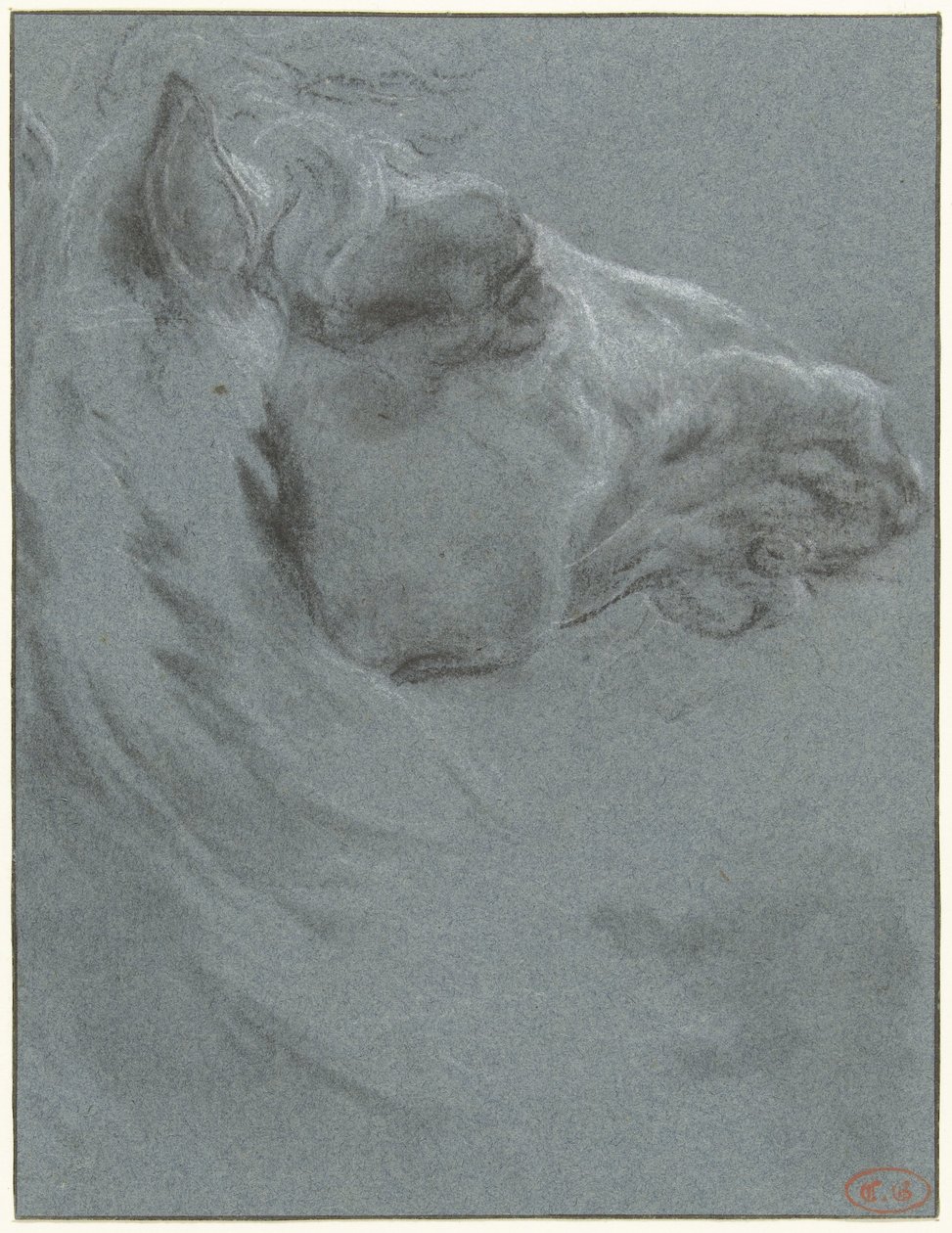 Head of a Horse by Francesco Giuseppe Casanova