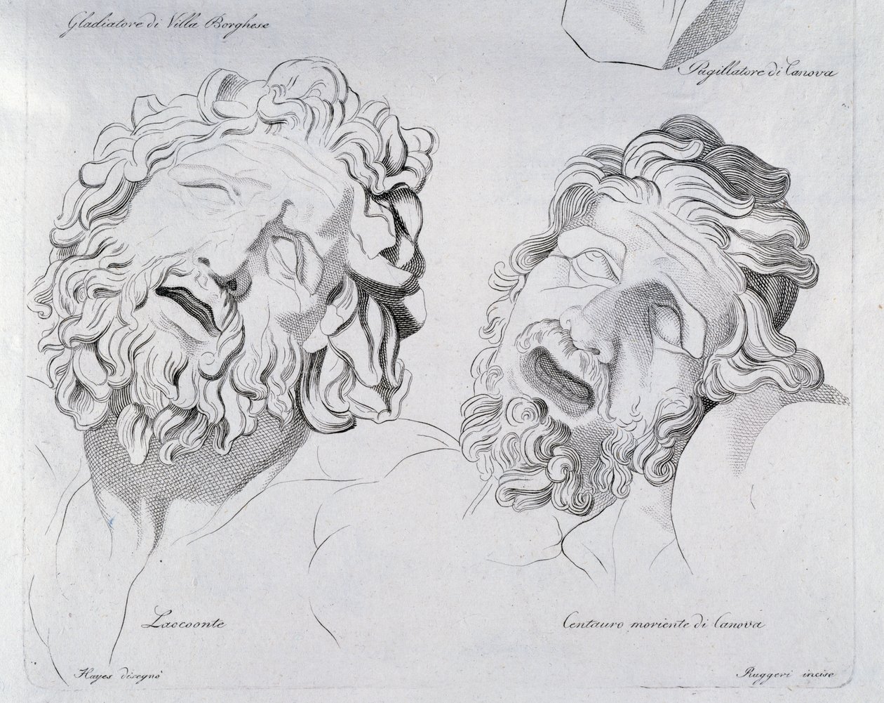 Heads of Laocoon and Centaur Moriente by Canova by Francesco Hayez
