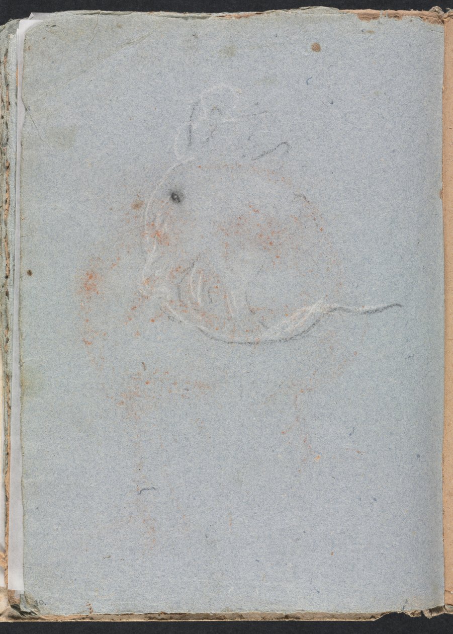 Verona Sketchbook: Head, page 30, 1760 by Francesco Lorenzi