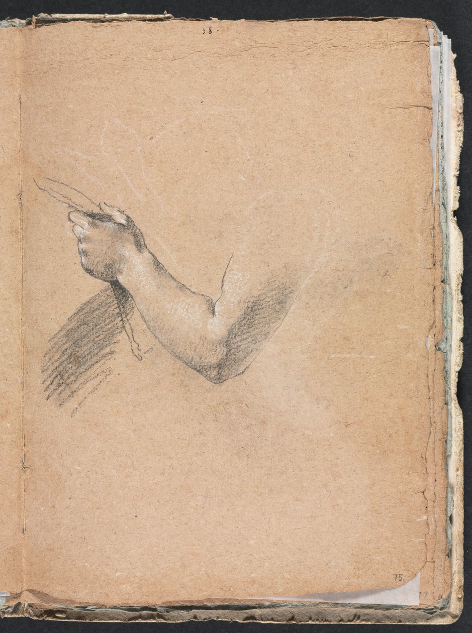 Verona Sketchbook: Left arm and hand (page 75) by Francesco Lorenzi