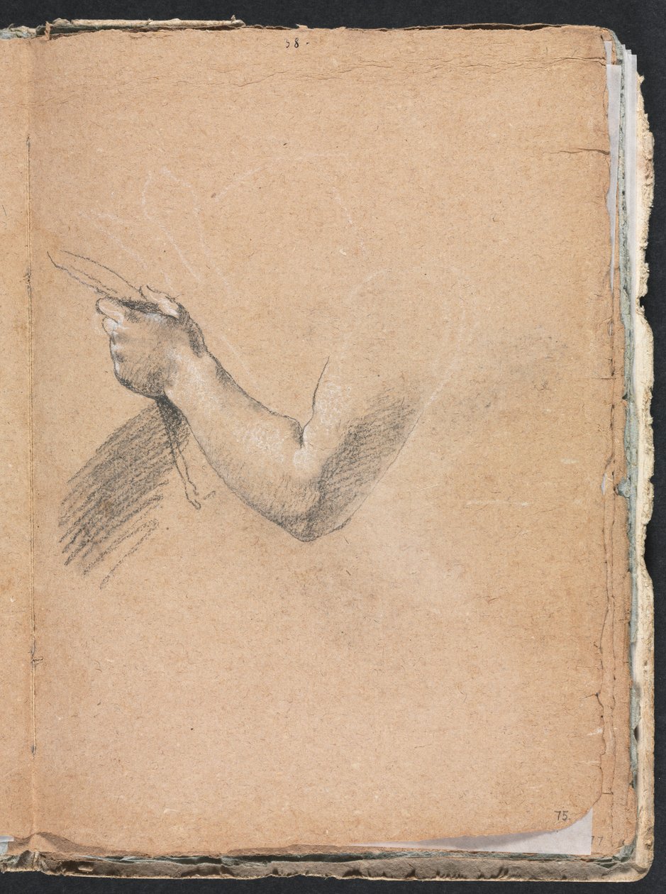 Verona Sketchbook: Left arm and hand (detail) by Francesco Lorenzi