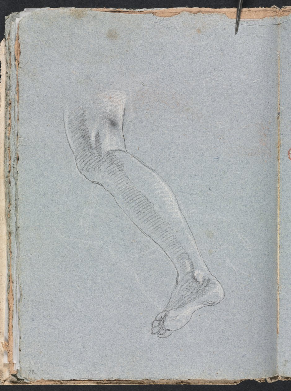 Verona Sketchbook: Left leg (page 28) by Francesco Lorenzi
