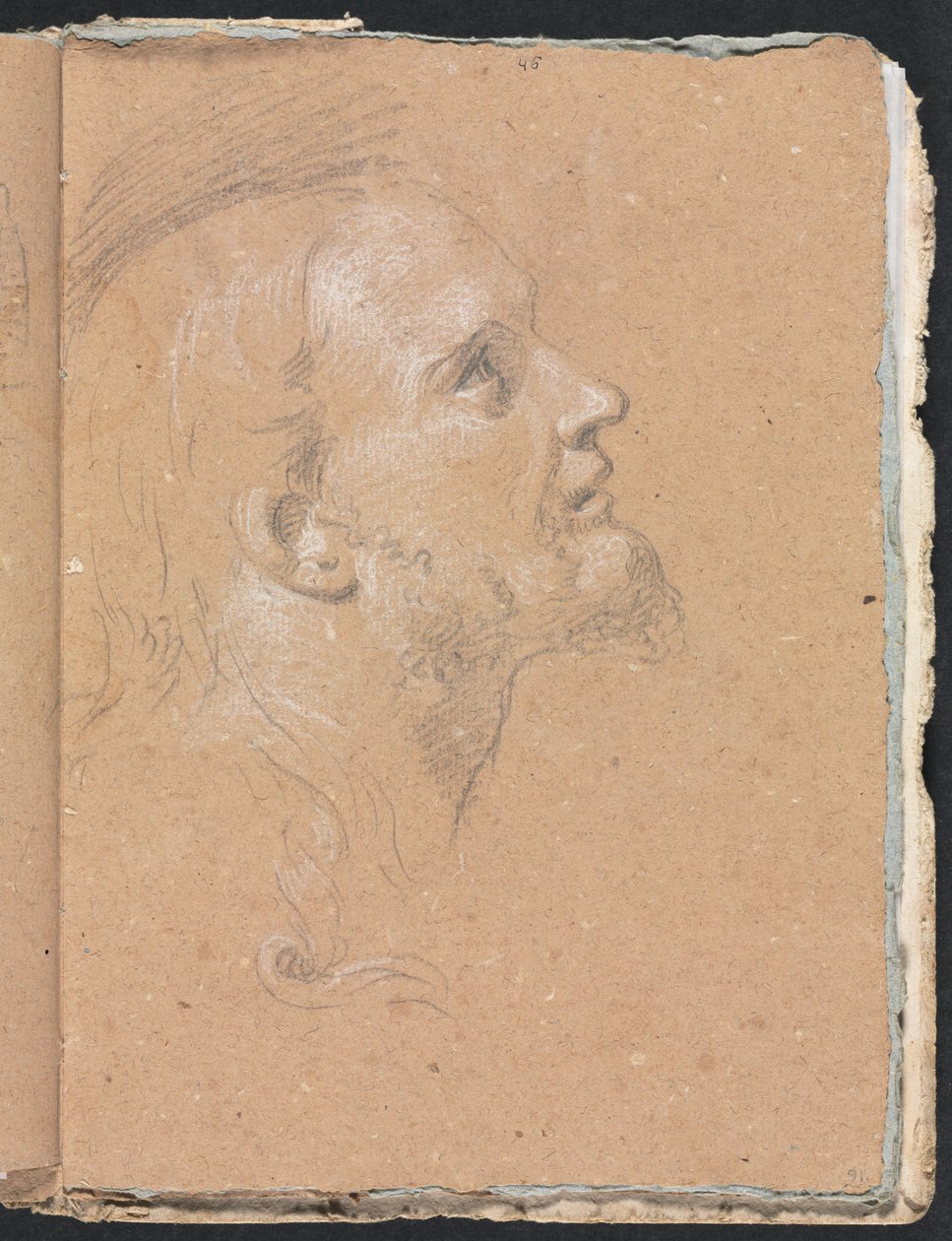 Verona Sketchbook: Male head in profile page 91 by Francesco Lorenzi