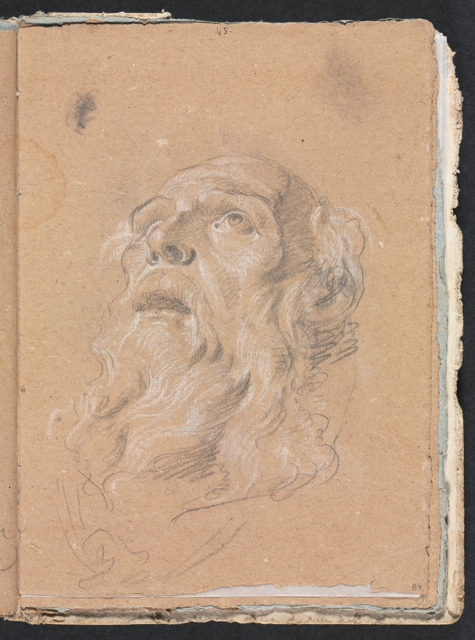 Verona Sketchbook: Male Head page 89, 1760 by Francesco Lorenzi