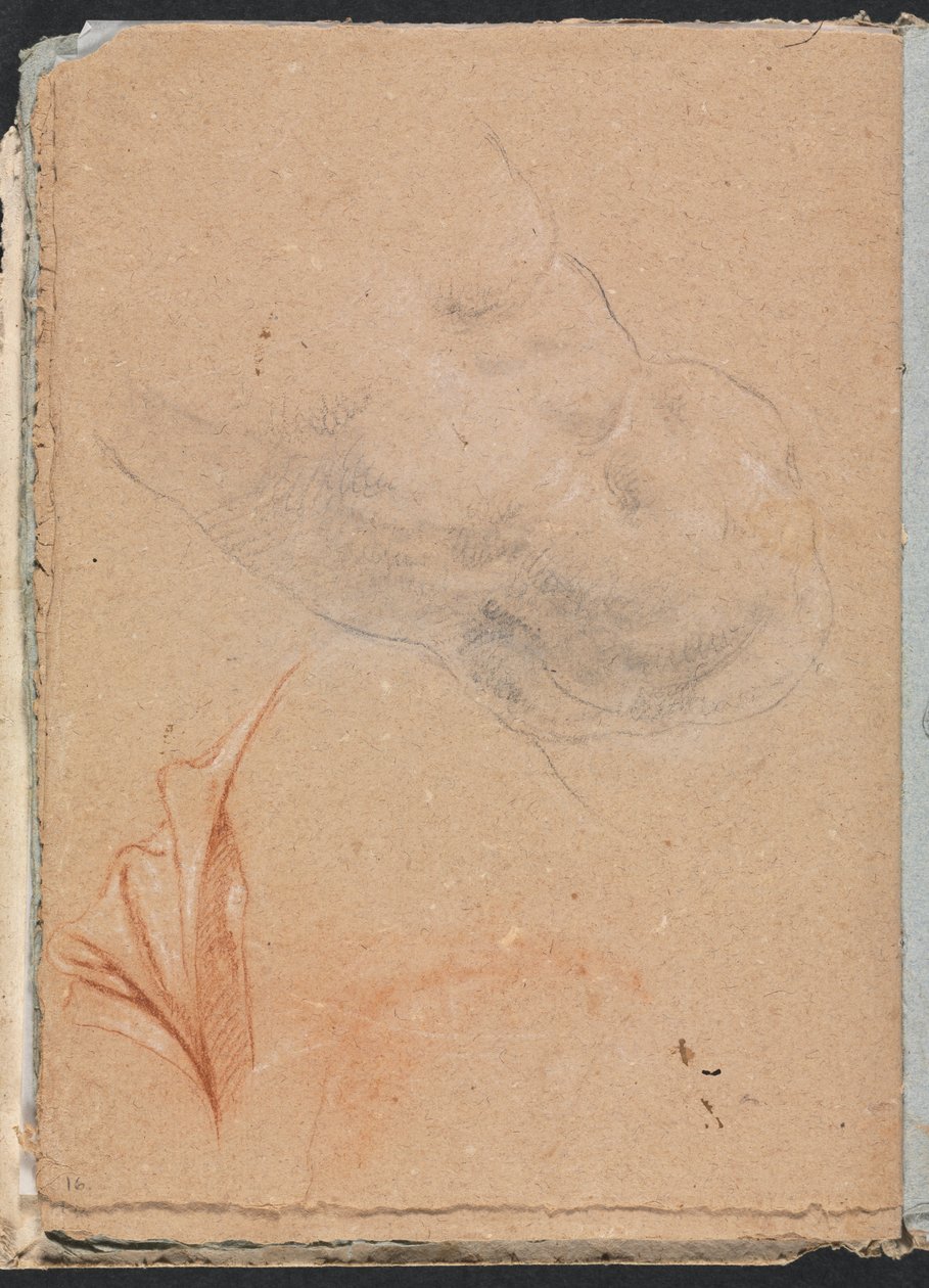 Verona Sketchbook: Nude male torso with drapery (page 16) by Francesco Lorenzi