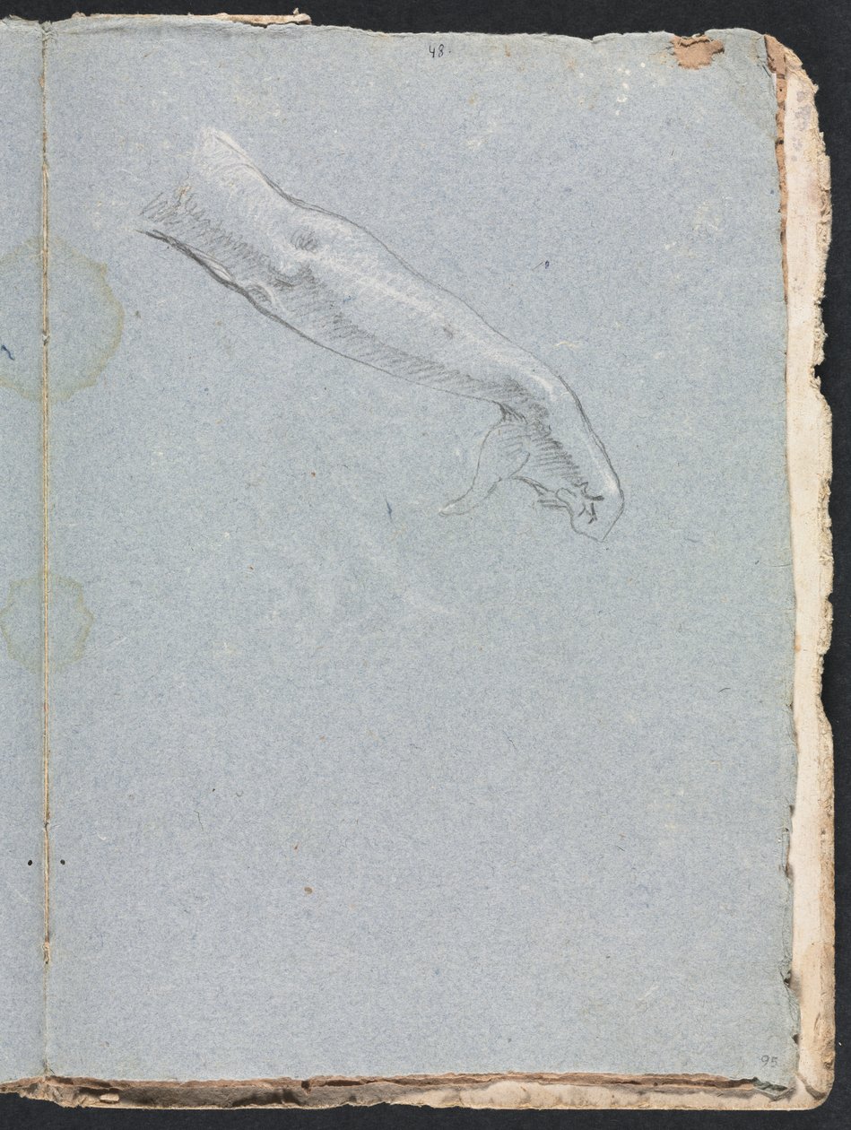 Verona Sketchbook: Right arm and hand (page 95) by Francesco Lorenzi