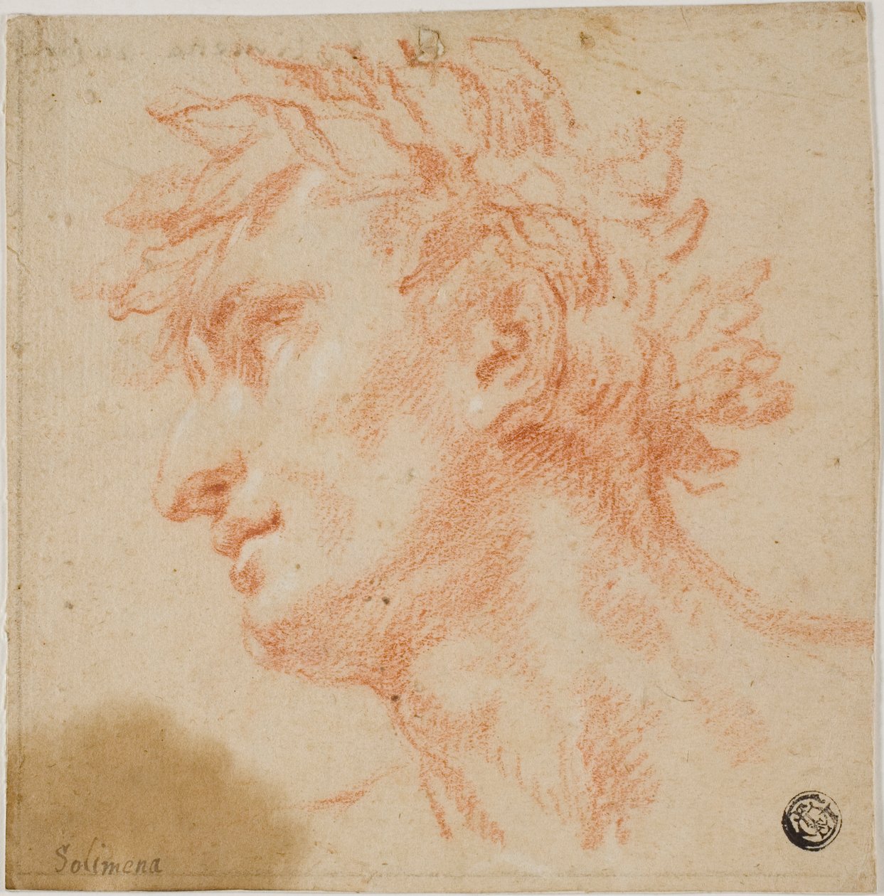 Profile of Male Head, Crowned with Laurel Leaves by Francesco Solimena