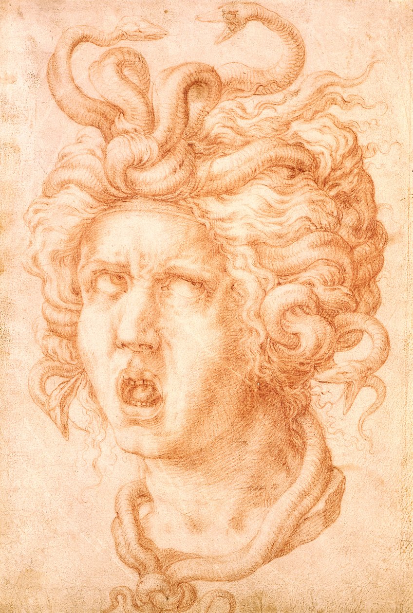 Medusa by Francesco de Rossi Salviati Cecchino