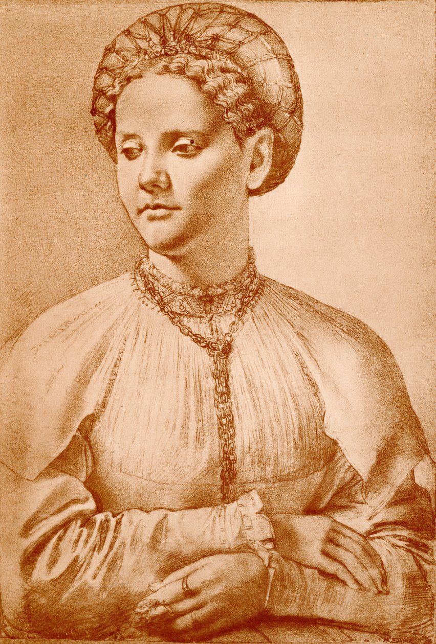 Female Portrait by Francesco di Cristofano Franciabigio