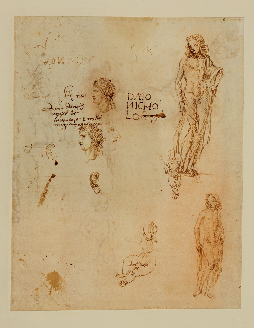 Three Profiles; Ears; Two Apollos by Francesco di Simone (attr. to)
