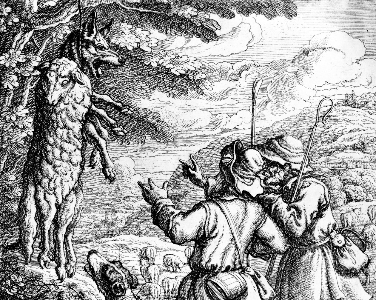 The Wolf in Sheep