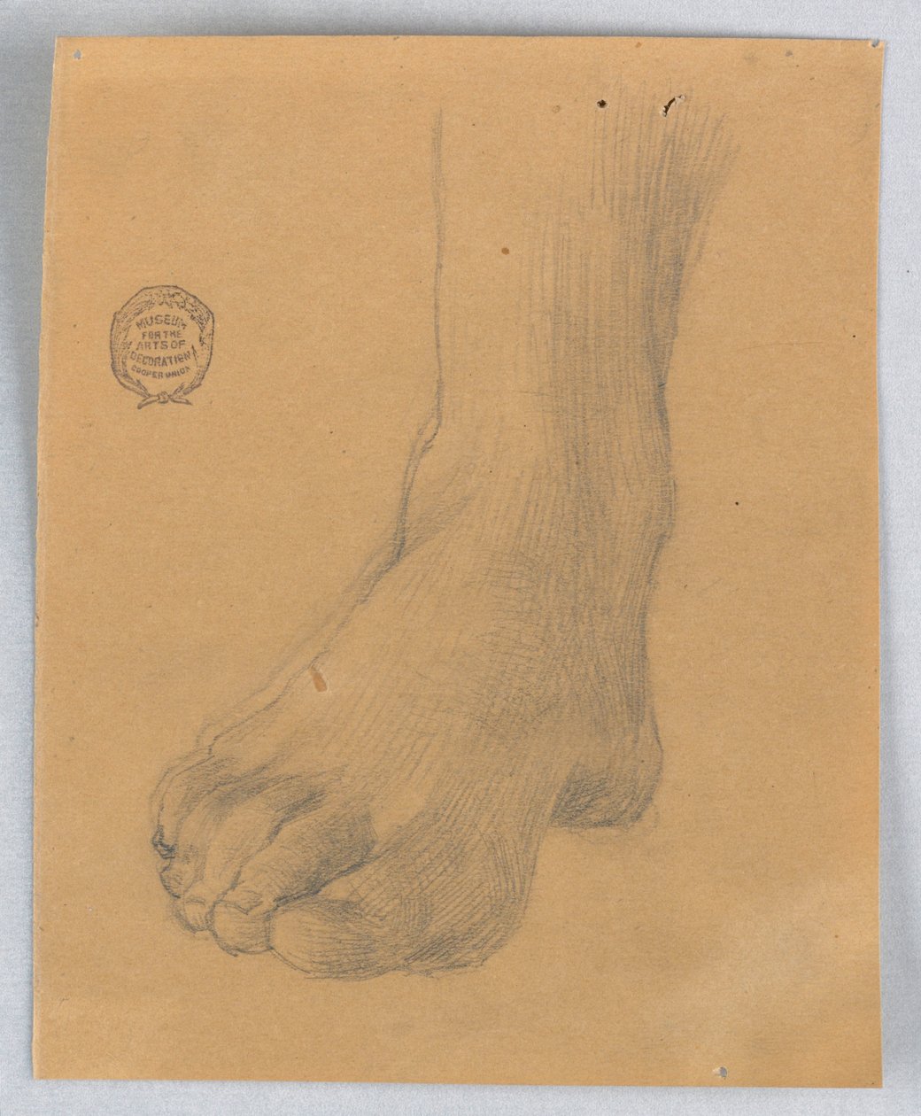 Study of Right Foot by Francis Augustus Lathrop