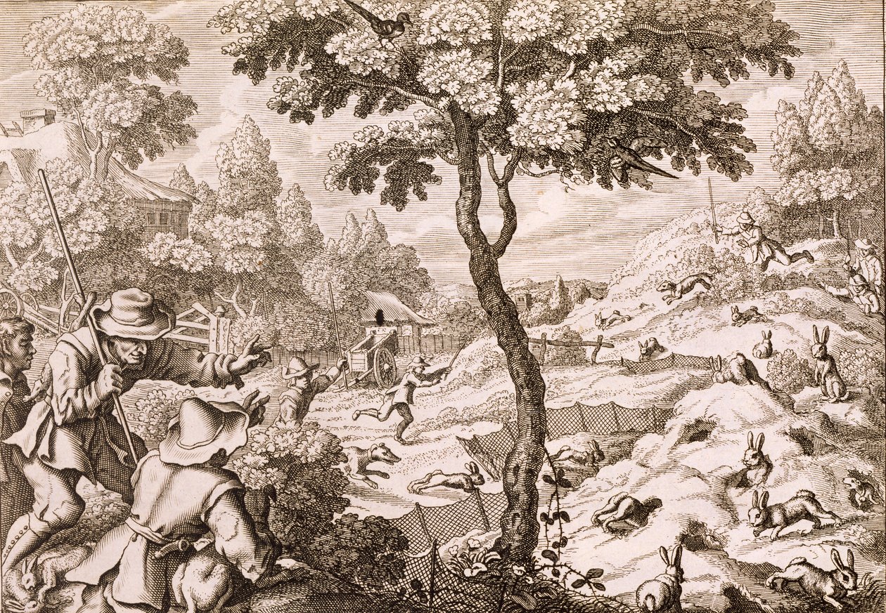 Cony Catching (engraved by Wenceslaus Hollar, 1671) by Francis Barlow