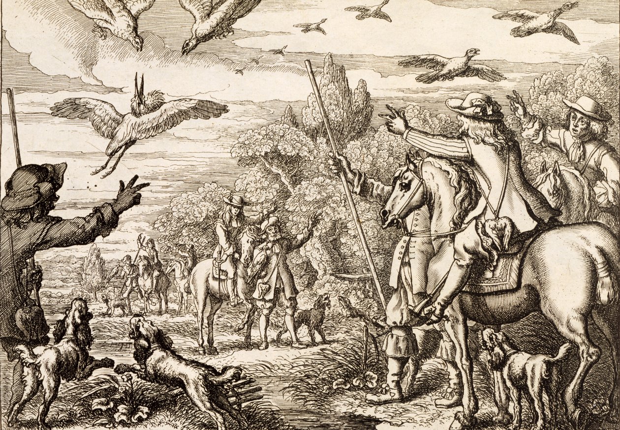 Heron Hawking, engraved by Wenceslaus Hollar, 1671 by Francis Barlow
