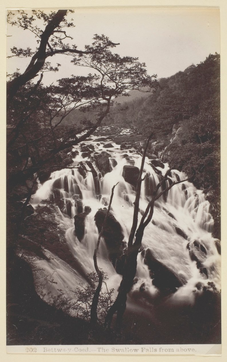 Bettws-y-Coed, The Swallow Falls from Above by Francis Bedford
