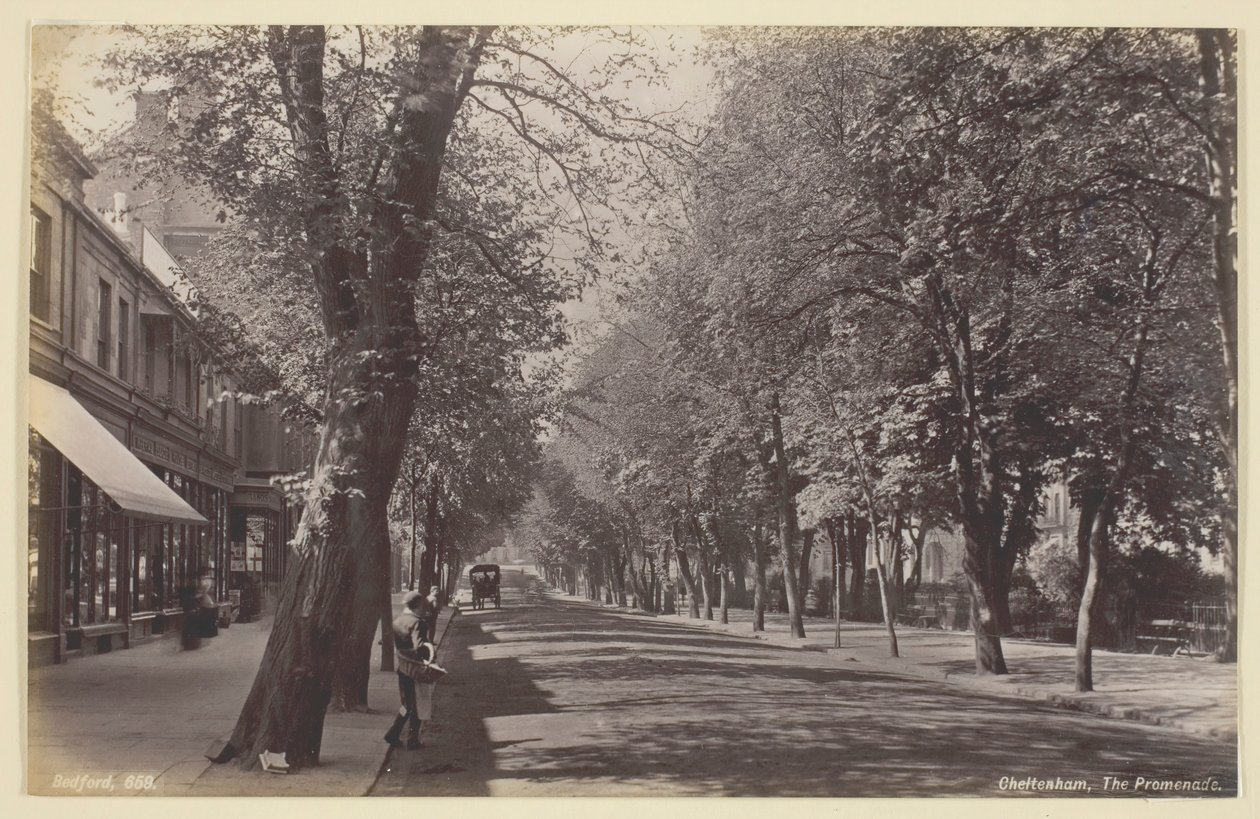 Cheltenham, the Promenade by Francis Bedford