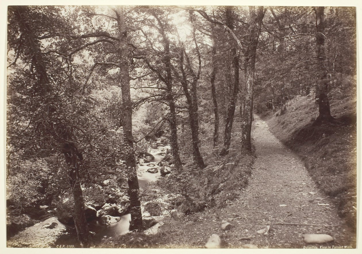 Dolgelley, View in Torrent Walk, 1860-94 by Francis Bedford