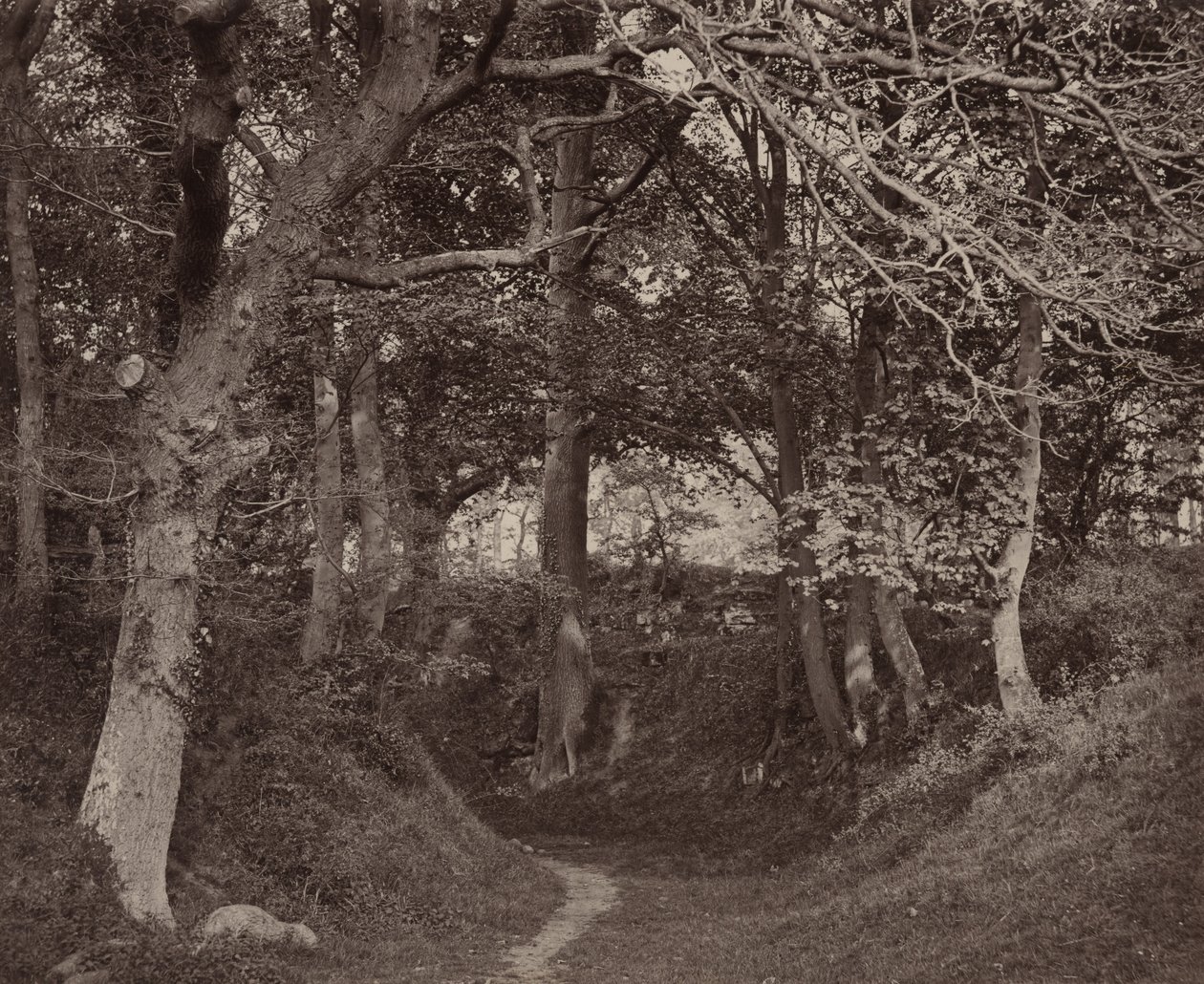 Glen Kenilworth, c. 1868 by Francis Bedford