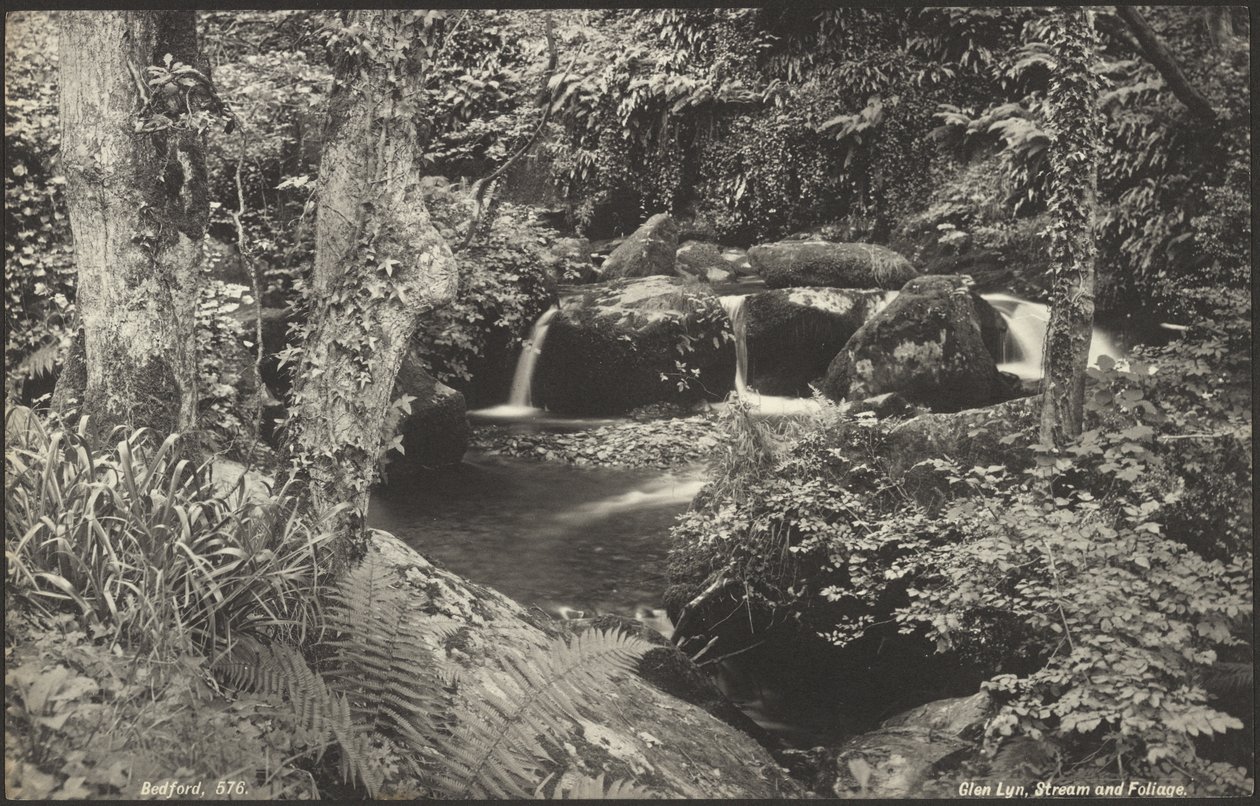 Glen Lyn, Stream and Foliage by Francis Bedford