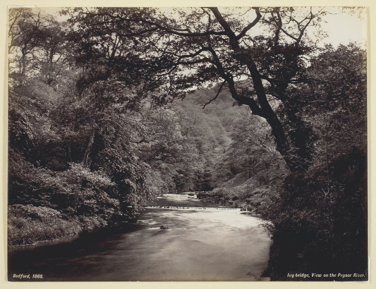 Ivy Bridge, View on the Prysor River, 186094 by Francis Bedford