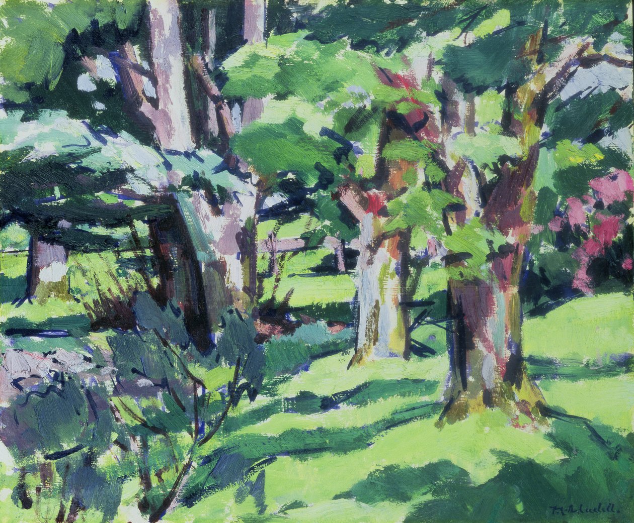 Trees at Auchinleck, Ayrshire by Francis Campbell Boileau Cadell